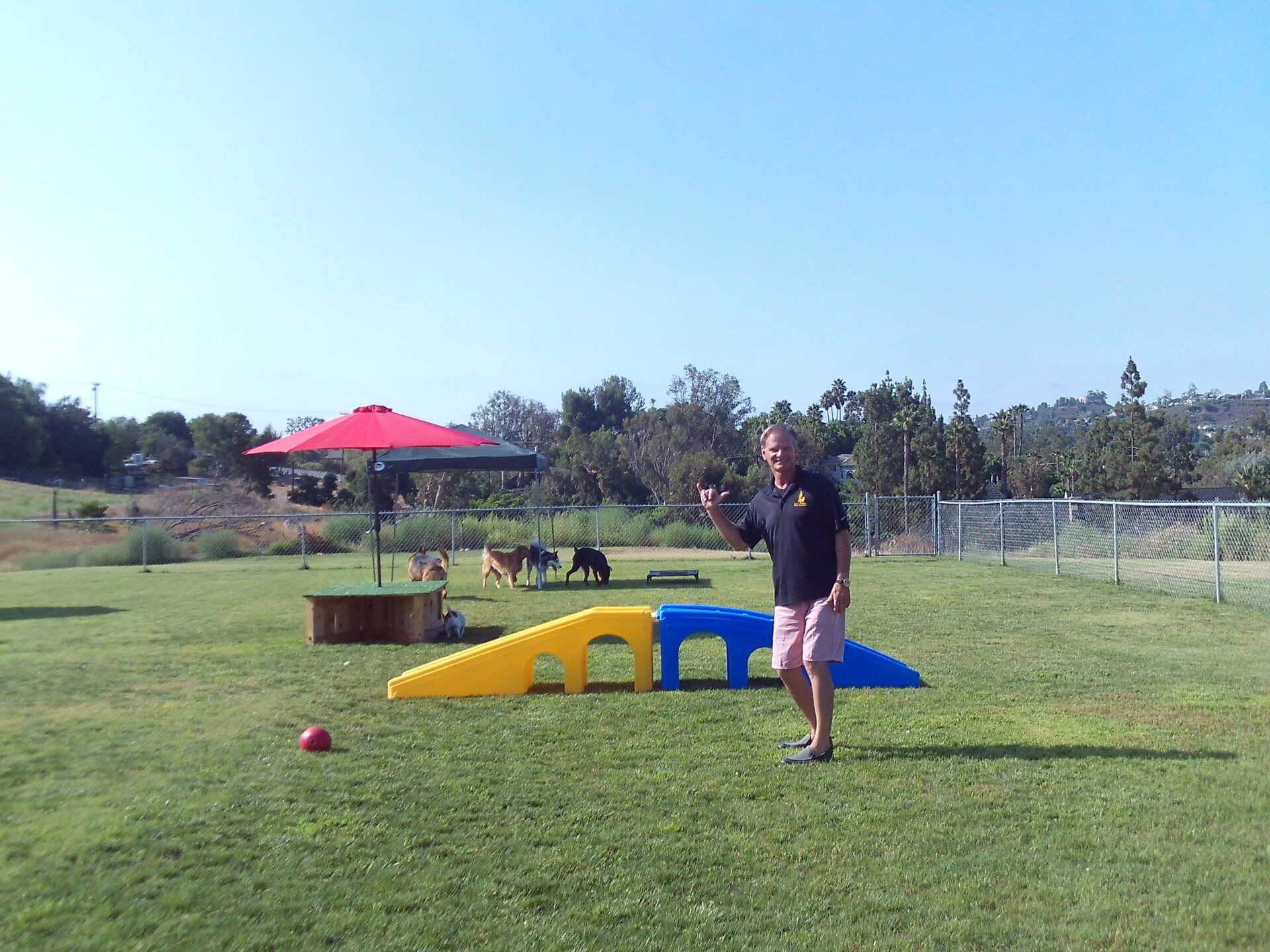 dogs and his trainer in the field